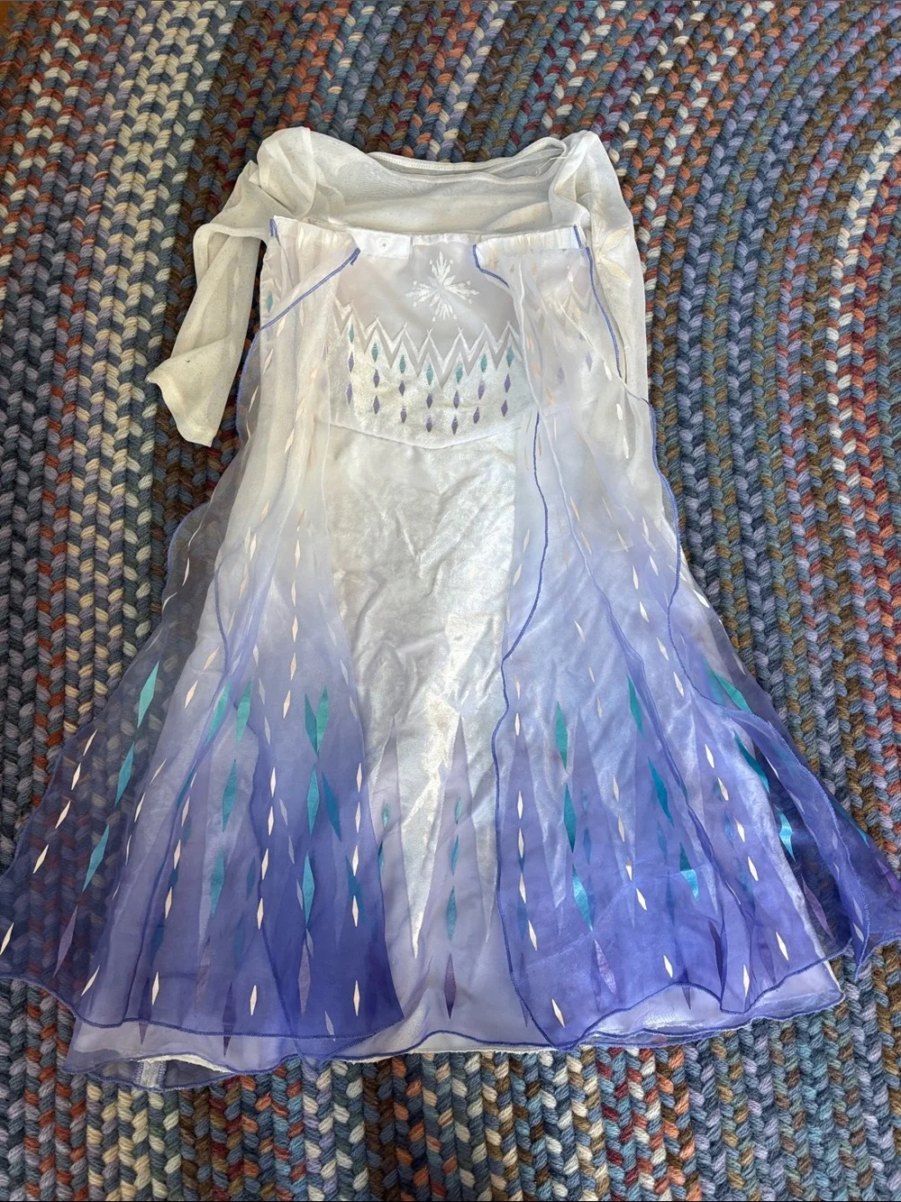 Frozen 2 Elsa Costume